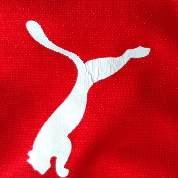 Puma Running Shorts - Picture 3 of 3